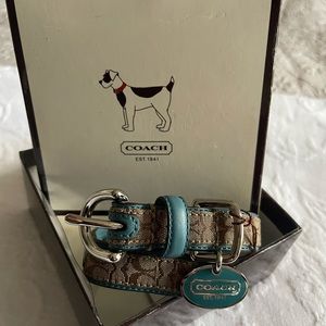 Official Signature Coach Dog Collar, Size XS, Teal and Brown